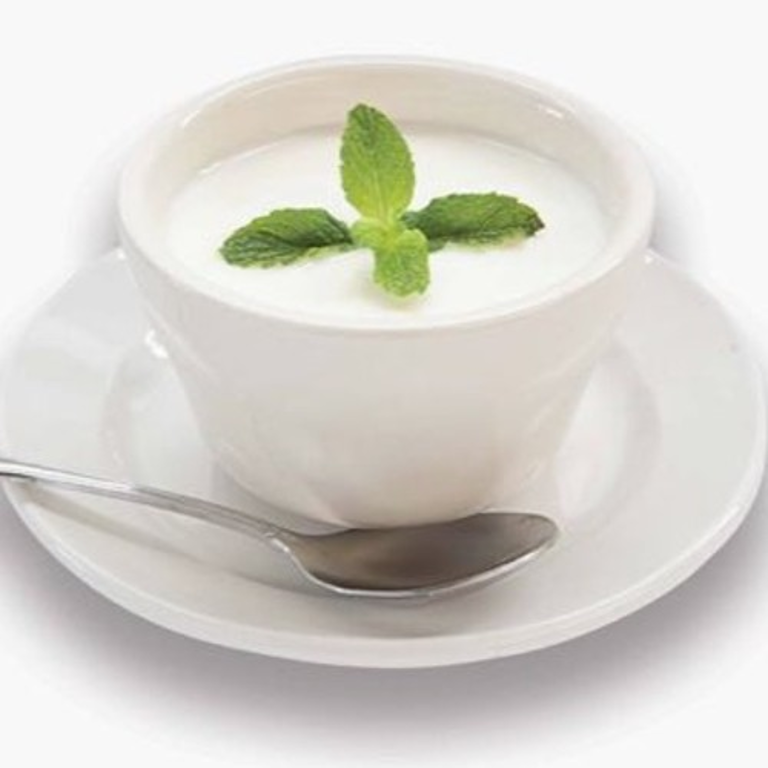 Explore Our Yogurt Delights